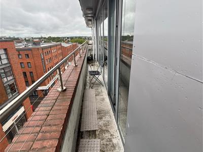 Picture 15